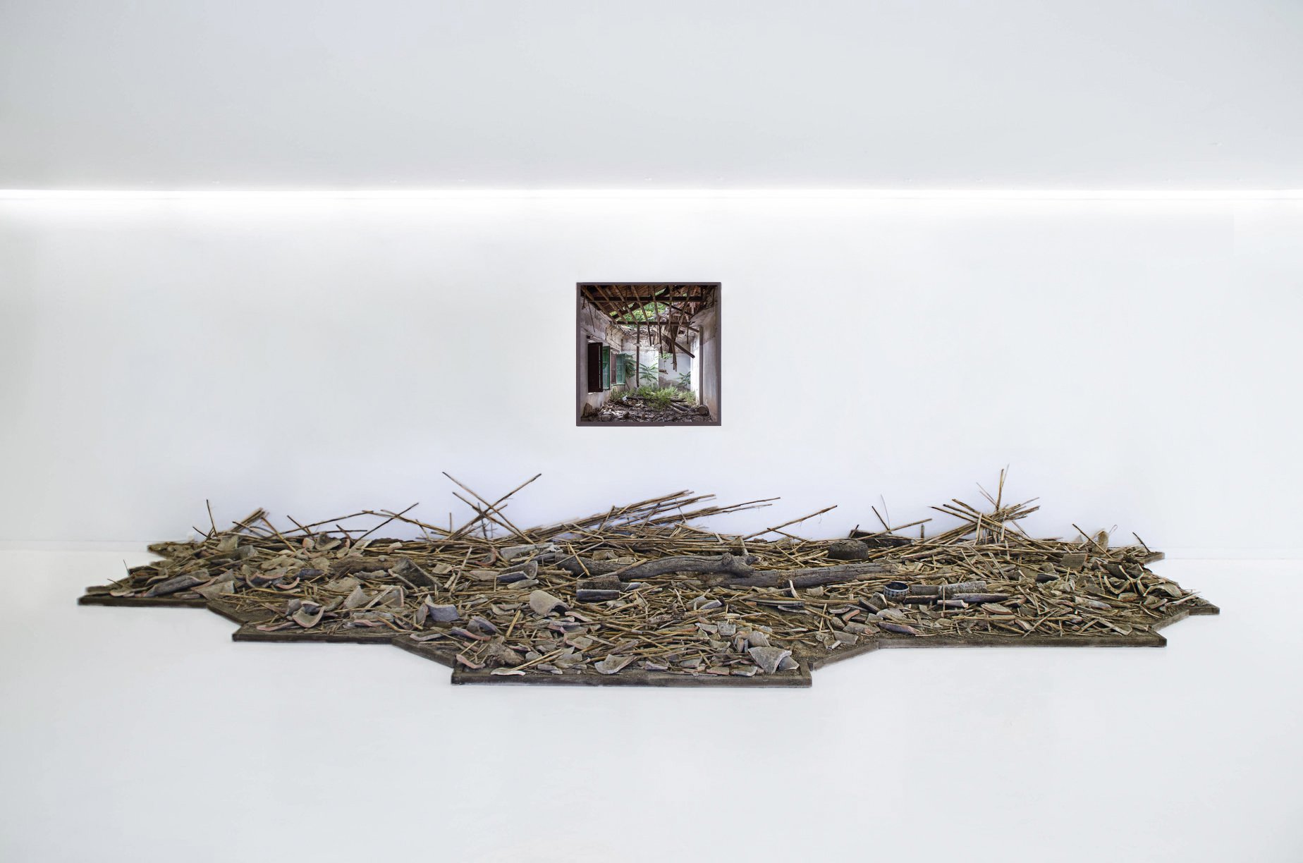 davidlatorre.com - SITE-SPECIFIC